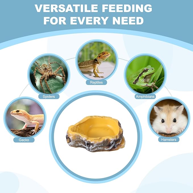 Reptile Food Bowl, Reptile Feeding Dish Corner Bowl Water Resin Rock Worm Feeder Dish S (5 in, Yellow), Intended for Lizards/o/Scaled Pet/Leopard o/Spiders