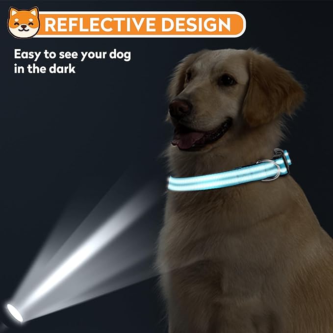 Reflective Dog Collar, Adjustable Soft Neoprene Padded Nylon Pet Collars with Buckle for Medium Dogs, Sky Blue,M