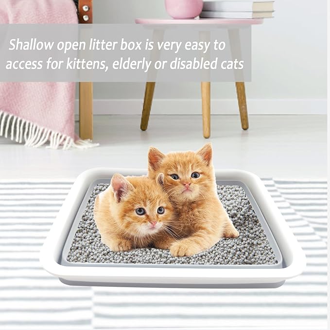 Collapsible Small Cat Litter Box, 14.6 x 10.6 x 4.8 inch Open Waterproof Low Entry Kitten Potty Pan Semi-Enclosed Pet Toilet for Sick Frail Kitty Grey