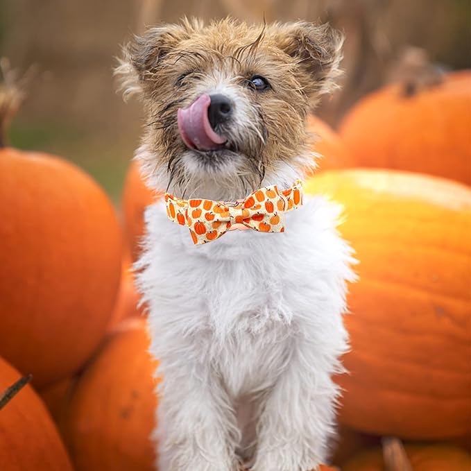 Dog Collar - Halloween Pumpkin Bowtie Pet Collar Gift Soft Bow Collar Pet Adjustable Metal Buckle Dog Collar for Medium Dogs