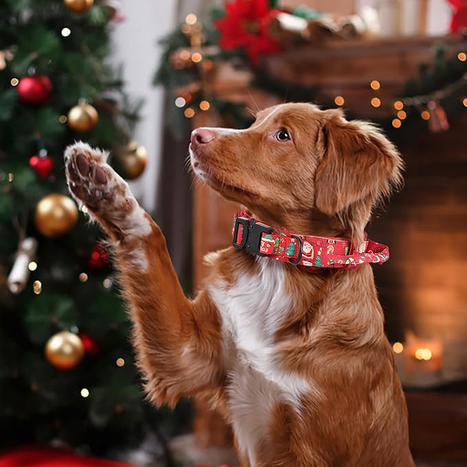 DAGANXI Christmas Tactical Dog Collar, Adjustable Military Training Nylon Dog Collar with Control Handle and Metal Buckle for Medium and Large Dogs, with Patches and Airtags Case (M, Christmas red)