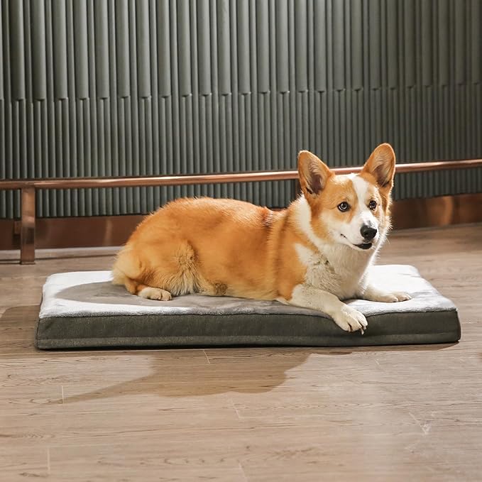 Amazon Basics Dog Bed with Cooling Gel Memory Foam, Pressure-Relief Support for Dogs up to 90lbs, Non-Slip Bottom, Machine Washable Cover, Extra Large Sized (41" x 29"), Grey