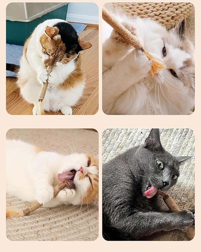 Tocirelo Silvervine Sticks Cat Toys - 6Pack Natural Cat Chew Toy Teeth Cleaning, Matatabi Dental Care Kitten Treat, Catnip Cat Teething Toys, Catmint Silver Vine Sticks for Bored Indoor Kitty