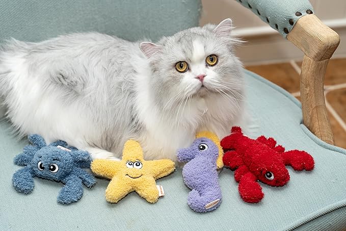 Interactive Catnip Cat Plush Toy, Ocean Theme, 5'', for All Breed Size Cats (Lobster)