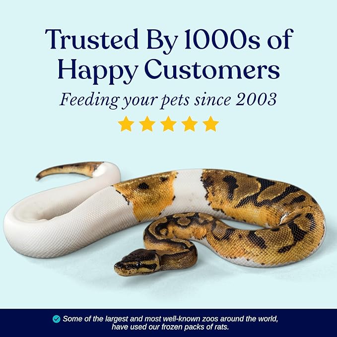 MiceDirect EST. 2003 30 Frozen Large Feeders Snake Food for Adult Red Tail Boas (8-9 in)(5250 Grams Min)