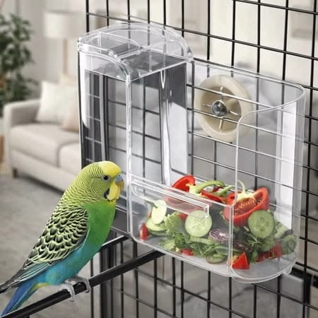 Bird Supplies