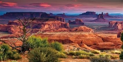 60X24IN Desert Loess Rock Cactus Oasis Reptile Habitat Background, Natural Sunset Desert Themed Terrarium Background, Aquarium Background with 10 EVA Double-Sided Tape