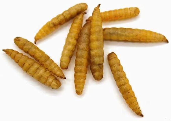 Premium Chicken Treats 1LB - Non-GMO & 85X More Calcium Than Meal Worms - Molting & Laying Supplement - BSF Larvae Treats for Layer Hens, Ducks Wild Birds