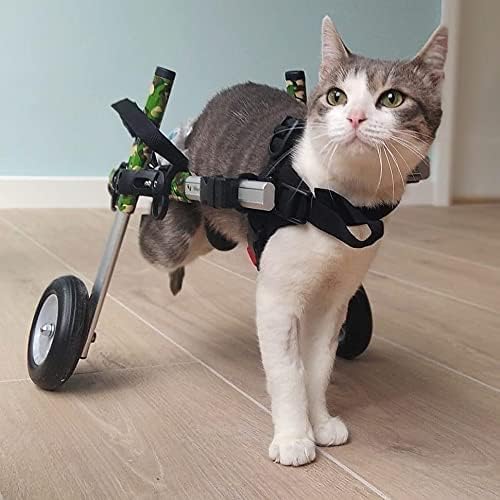 Walkin' Wheels Lightweight – for Small Cats 2 to 20 Pounds – Veterinarian Approved – Cat Wheelchair for Back Legs, for Cats 11-20 lbs, 7-8 inches Leg Height – Pink