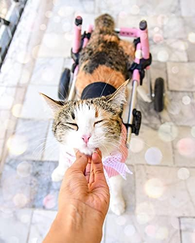 Walkin' Wheels Lightweight – for Small Cats 2 to 20 Pounds – Veterinarian Approved – Cat Wheelchair for Back Legs, for Cats 2-10 lbs, 6-8 inches Leg Height – Blue