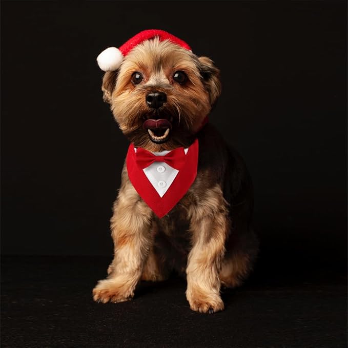 Formal Dog Tuxedo Adjustable Pet Collar with Bow, Small, Medium and Large Dog Wedding Clothing, Birthday Gifts
