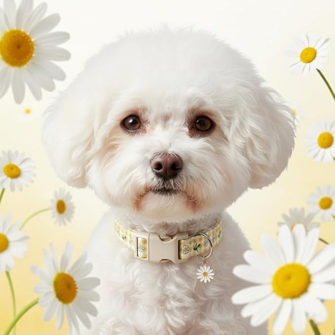 Cute Dog Collar, Yellow Plaid Dog Collar with White Floral Pattern, Spring Summer Design Floral Collar for Girls Boys Extra Small Dogs, Yellow Checkered Daisy, XS