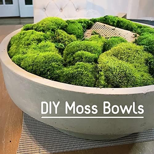 Preserved Pole Moss Pillow Bun Cushion Natural Green Decorative Real Natural Green DIY Kit Terrariums Gardenning Art Wall Decor Florist Decor Easter Table Decor Wedding(9.0 sq.ft., Green-B)