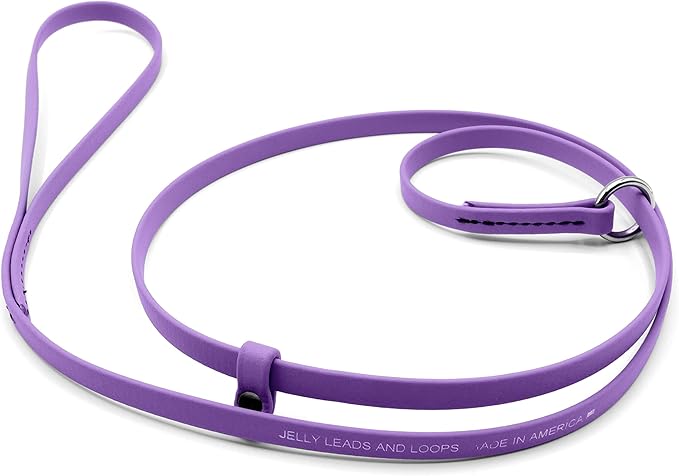 Jelly Pet Grooming Lead for Dogs | Great for Kennels, Veterinarians and Dog Grooming Salons | Biothane Leash - Easy to Clean, Waterproof & Durable Noose Loop | Made in USA | 3/8'' x 4'