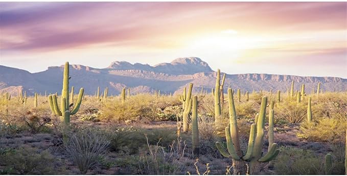 AWERT Reptile Habitat Background Blue Sky Oasis Mountain Cactus Sun and Desert Terrarium Background 36x20 inches