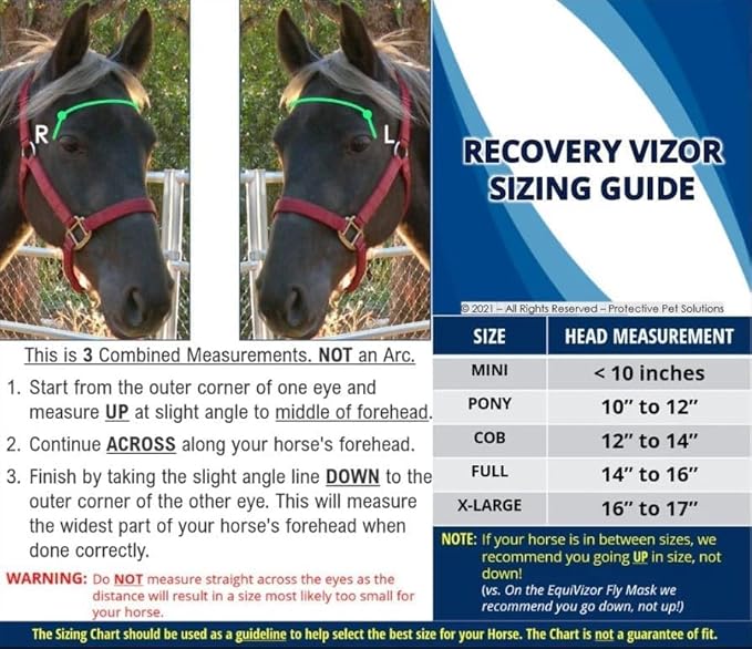 Recovery Vizor, (Size Pony - Clear UV Tint) Medical/Preventative Horse Eye (Goggle) Protection for Uveitis/Injury/Scratch or Corneal Ulcer, Infection, Blindness, Photsensitivity