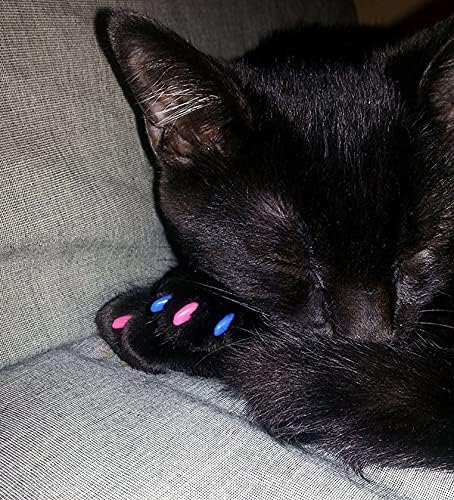 40 Pack Soft Nail Caps for Cat Claws Soft Pink Kitten