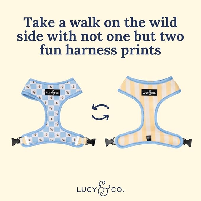 Lucy & Co. Bumbling Around Reversible Dog Harness, Adjustable Comfort Fit with Dual Leash Attachments, Large