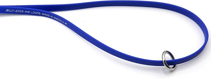 Jelly Pet Grooming Loop for Dogs, Groomers Helper, BioThane Material is Easy to Clean, Waterproof & Durable Noose Loop, Fits Most Pet Grooming Tubs/Tables/3/8”x24” W/Ring Royal Blue