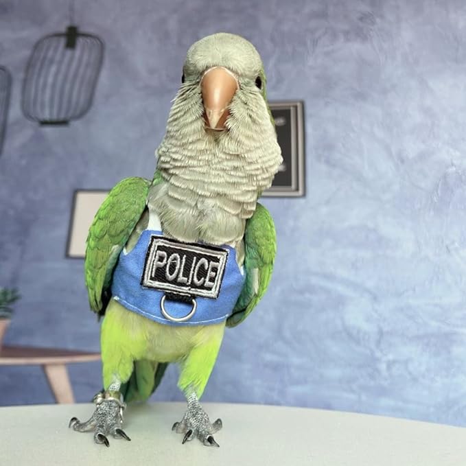 Bird Flight Harness Vest, Parrot Flight Suit with Leash, Bird Flying Clothes with Rope and Handle for Outdoor Activities (Without Leash,Green-cheeked Conure)
