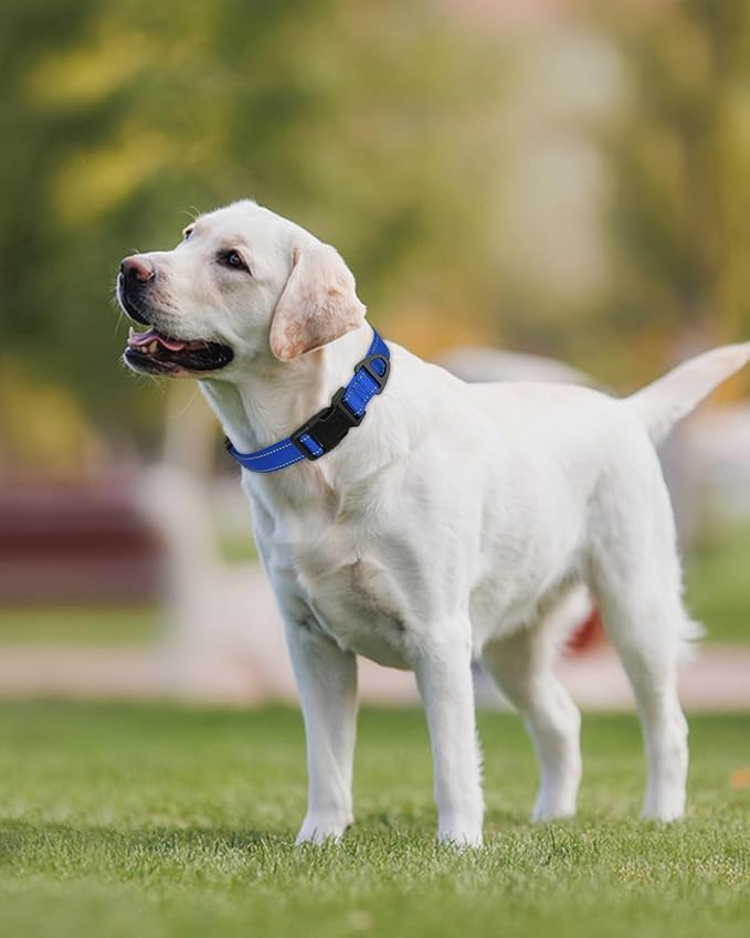 Joytale Reflective Dog Collar, Adjustable Nylon Pet Collar with Quick-Release Buckle for Medium Dogs, Navy Blue, M