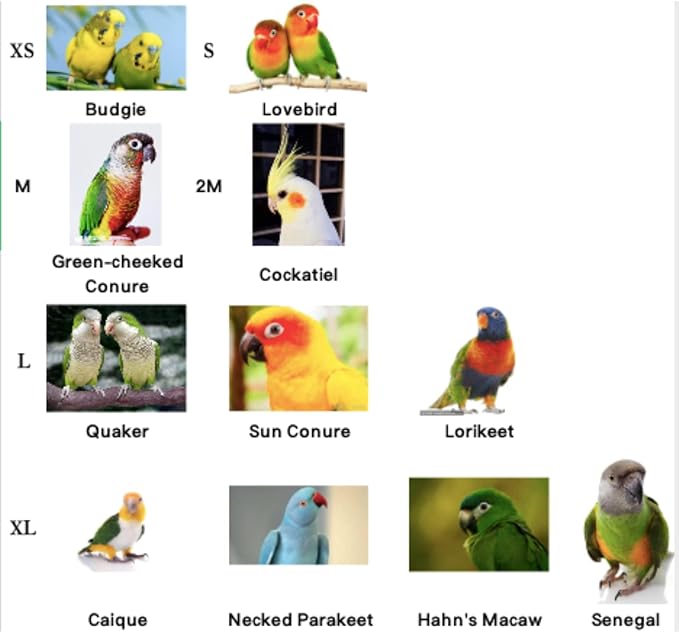 Bird Flight Harness Vest, Parrot Flight Suit with Leash for Parakeets Cockatiels Conures Budgies, Bird Flying Clothes with Rope and Handle for Outdoor Activities Training, Anti Bite (Small)