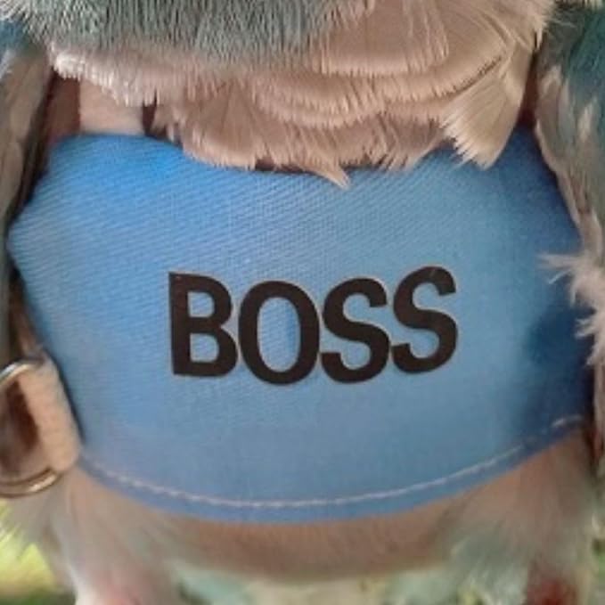 Bird Flight Harness Vest, Parrot Flight Suit with Leash, Bird Flying Clothes with Rope and Handle for Outdoor Activities (S)
