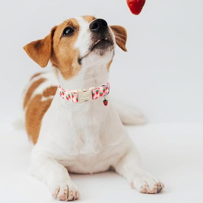 Cute Spring/Summer Dog Collar, Adjustable Pink Strawberry Dog Collars for Medium Dogs, Lightweight Quick-Release Buckle Collar for Boy&Girl Dogs M