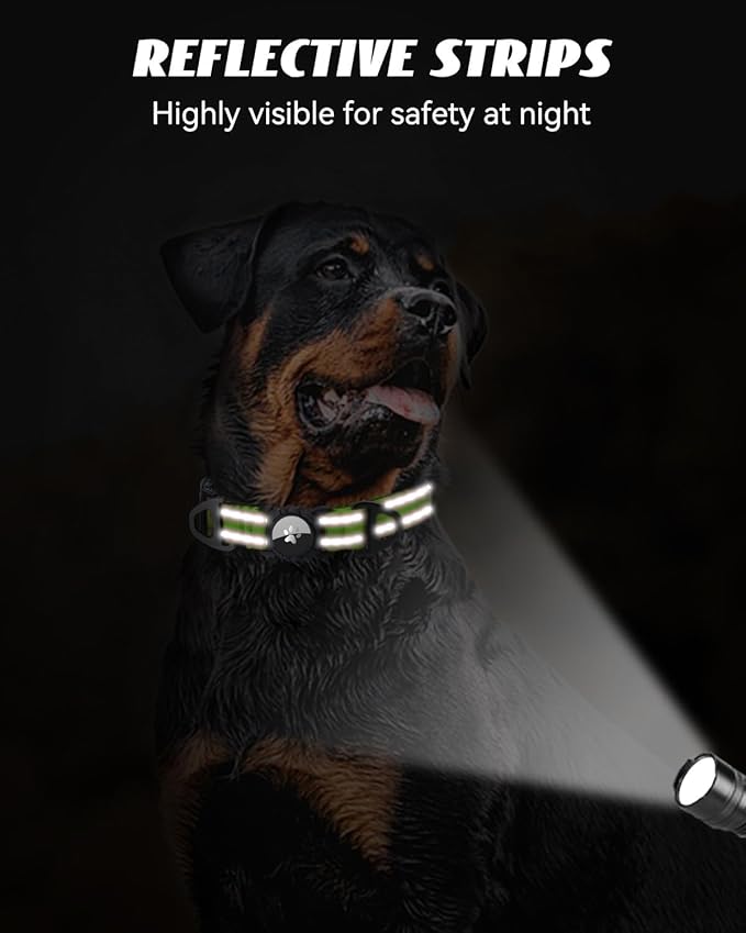 Joytale Airtag Dog Collar, Reflective Pet Collar with Waterproof AirTag Holder, Dual D-Rings, Soft Padded Adjustable for Medium Dogs, Green, M