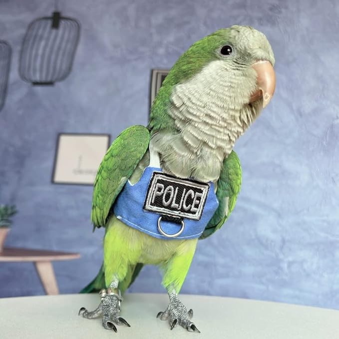 Bird Flight Harness Vest, Parrot Flight Suit with Leash, Bird Flying Clothes with Rope and Handle for Outdoor Activities (with Leash,Blue Quaker)