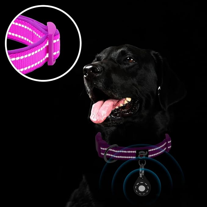 azuza Reflective Dog Collar with Airtag Holder, Soft Neoprene Padded Pet Collar with ID Tag Ring, Adjustable for Small Dogs,Purple,S