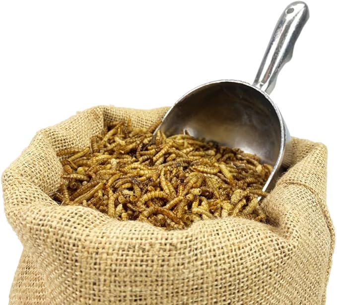 Chubby Mealworms 10Lb Bulk Dried Mealworms for Chickens, Birds, Ducks and Much More