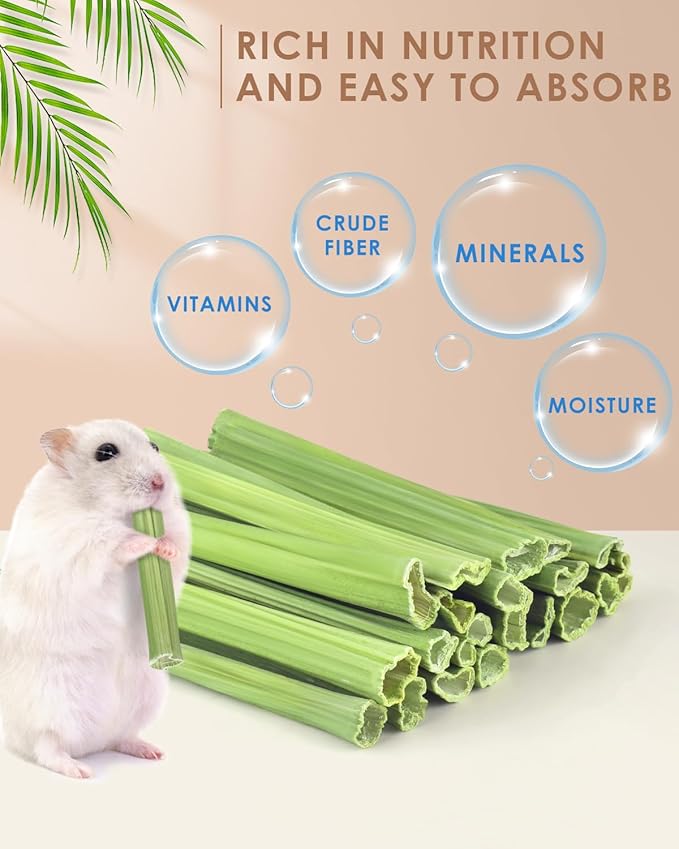 Bissap 25 PCS Guinea Pigs Chew Sticks, Natural Papaya Stems Bunny Chews Treats for Hamsters Chinchillas Small Animals Organic Molar Chewing Snack