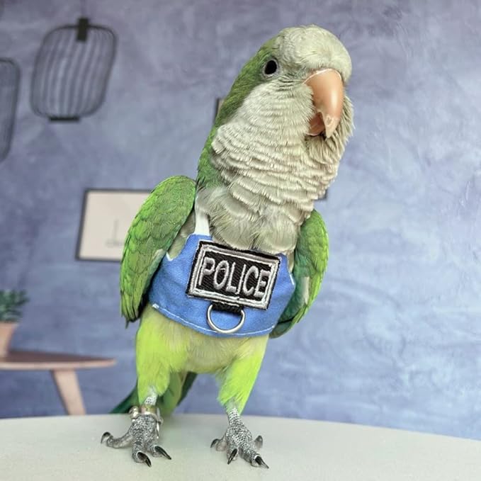 Bird Flight Harness Vest, Parrot Flight Suit with Leash, Bird Flying Clothes with Rope and Handle for Outdoor Activities (with Leash,Common Hill Myna)