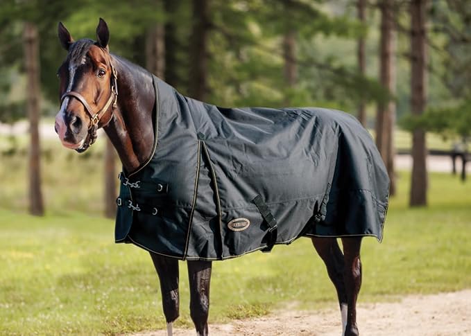 Country Pride Paladin 1200D High Neck Heavyweight Turnout Blanket (68)
