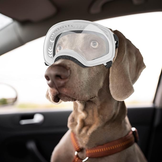 NAMSAN Clear Dog Goggles for Large Dogs, Wide Eyecup & Soft Frame, Anti-UV Sunglasses for Dogs Medium to Large Breed, Driving Dog Eye Protection, Windproof Dustproof, Adjustable, White Frame