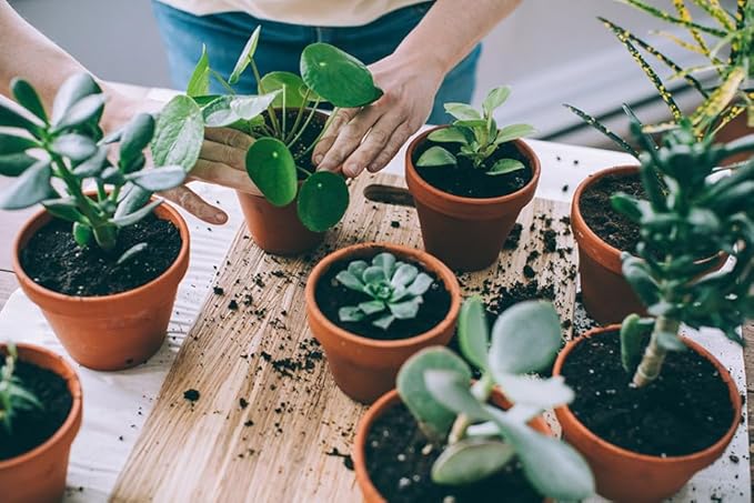 Gardenera Premium Black Mulch Cover - Enhance Your Landscape with Vibrant Color and Nutrient-Rich Benefits - 1 Quart
