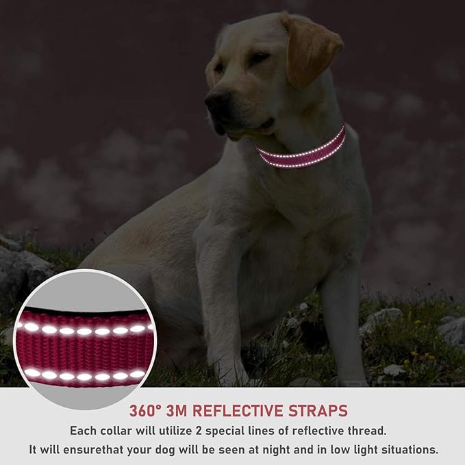 Reflective Dog Collar with Buckle Adjustable Safety Nylon Collars for Small Medium Large Dogs, Pink L