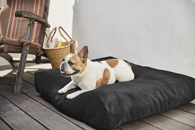K9 Ballistics Tough Rectangle Pillow Medium Dog Bed - Removable Cover, Washable, Durable & Water Resistant Dog Bed Made for Medium Dogs 33"x27" Blue Quartz