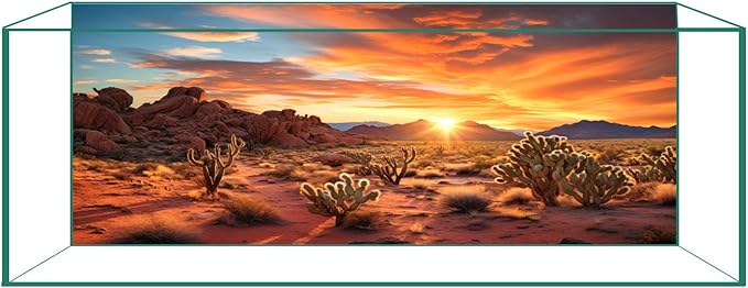 Aquarium Background & Terrarium Background – Ultra HD Static Cling, Tape-Free, Desert Sunset Design for Reptile Tank Decorations, Perfect for Bearded Dragon and Leopard Gecko Tanks 23.6 X 70.8 Inches