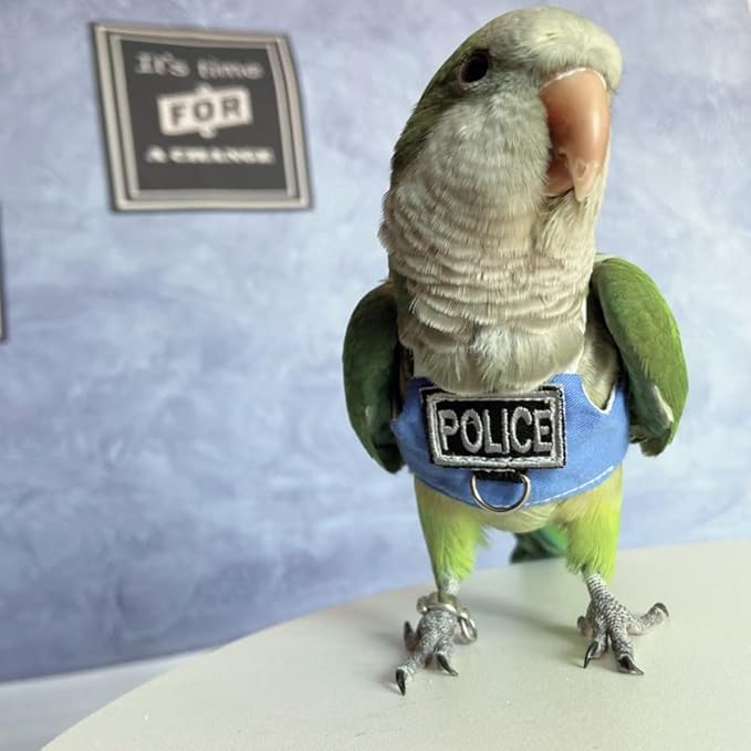 Bird Flight Harness Vest, Parrot Flight Suit with Leash, Bird Flying Clothes with Rope and Handle for Outdoor Activities (Without Leash,Lovebird)