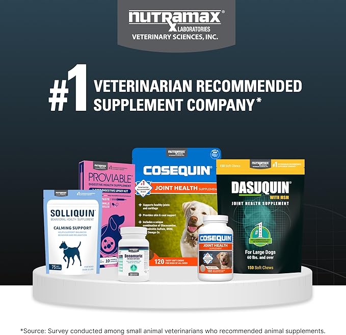 Nutramax Dasuquin with MSM Chewables, Large Dog, 150 Count