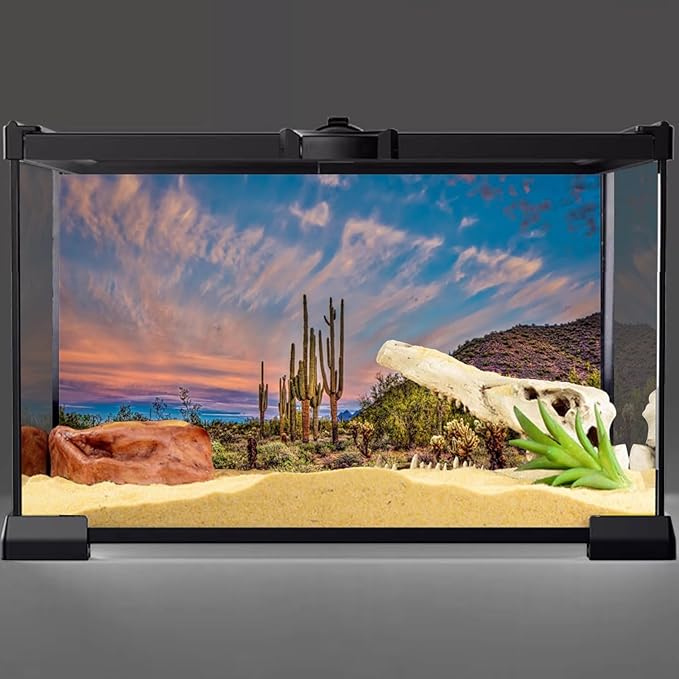 AWERT 30x18 inches Terrarium Background Blue Sky Cloud Huge Cactus Oasis Gobi Reptile Habitat Background Vinyl