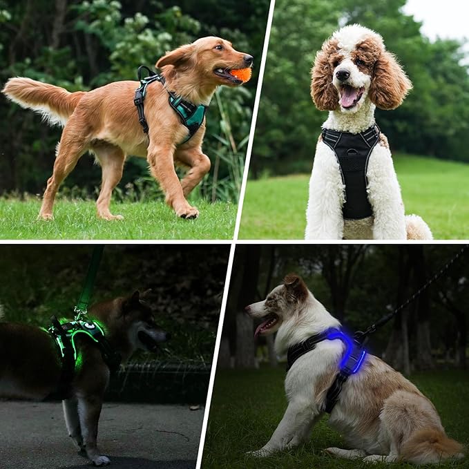 Taglory Light Up Dog Harness, Rechargeable No Pull Dog Vest with 3 Lightning Modes, Reflective Dog Harness with 2 Leash Clips & 4 Adjustable Slide Strips for Medium Dogs, Hotpink-Hotpink, M