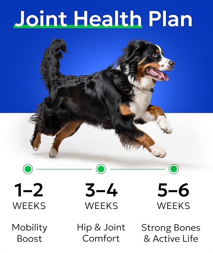 Glucosamine Chondroitin Dog Hip & Joint Supplement - Joint Pain Relief - Hip & Joint Chews for Dogs - Joint Support Large Breed - Senior Doggie Vitamin Pills Joint Health - (240 Treats - Chicken)