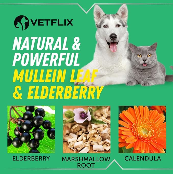 Kennel Cough Treatment for Dogs & Cats - Made in USA - Dog Allergy & Cat Asthma Relief - Mullen Leaf & Elderberry Blend - Dry, Wet & Barky Cough Relief for Dogs & Cats - All Breeds & Sizes - 2 Fl Oz