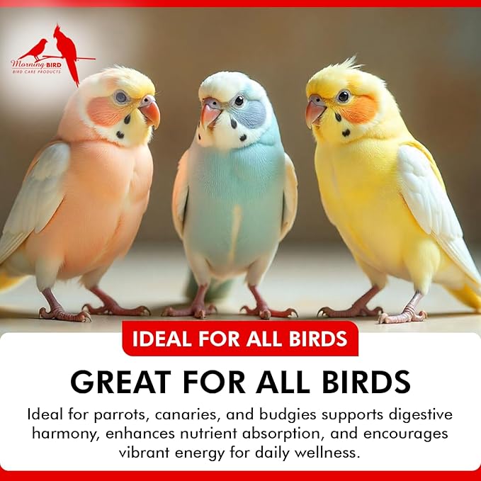 Morning Bird Probiotics for Birds 2 oz – Digestive Health Supplement Supporting Gut Balance, Nutrient Absorption & Immune Support – Easy Mix Powder Supplement for All Bird Species
