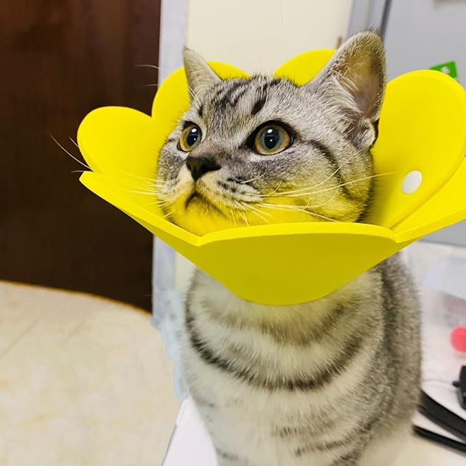 3-Pack Cat Recovery Collar - Sunflower Neck Cone, Anti-Licking, Prevents Biting & Scratching (Pink, Orange, Yellow) (M)