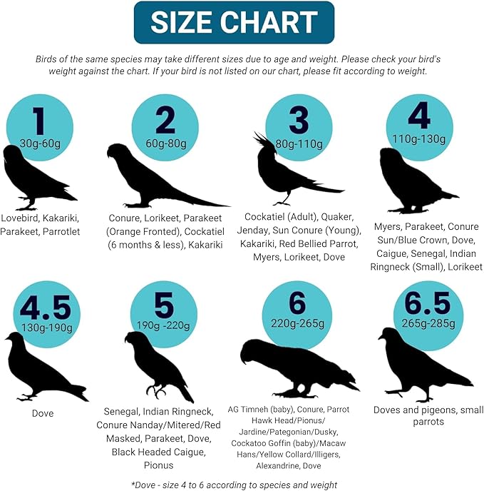 Bev's Bird Boutique Regular Flyper Adjustable Bird Diaper | Reusable, Washable Cloth | Comfort Fit for Parrot, Cockatiels, & Other Small Birds | Fashionable Avian Accessories, Pirate, Size 8.5