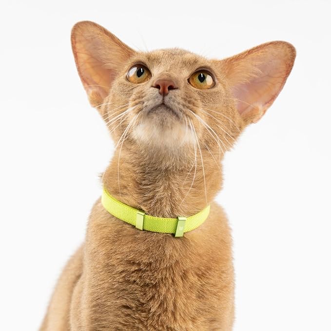 Safety Cat Collar - U.S. IDA Gold Awarding Design, Stretch Elastic Quick Release, Non Breakaway - Light Weight for Kitten, Neck Fit 5.9'-11.8' for All Small Large Cat,S(Monet Purple)
